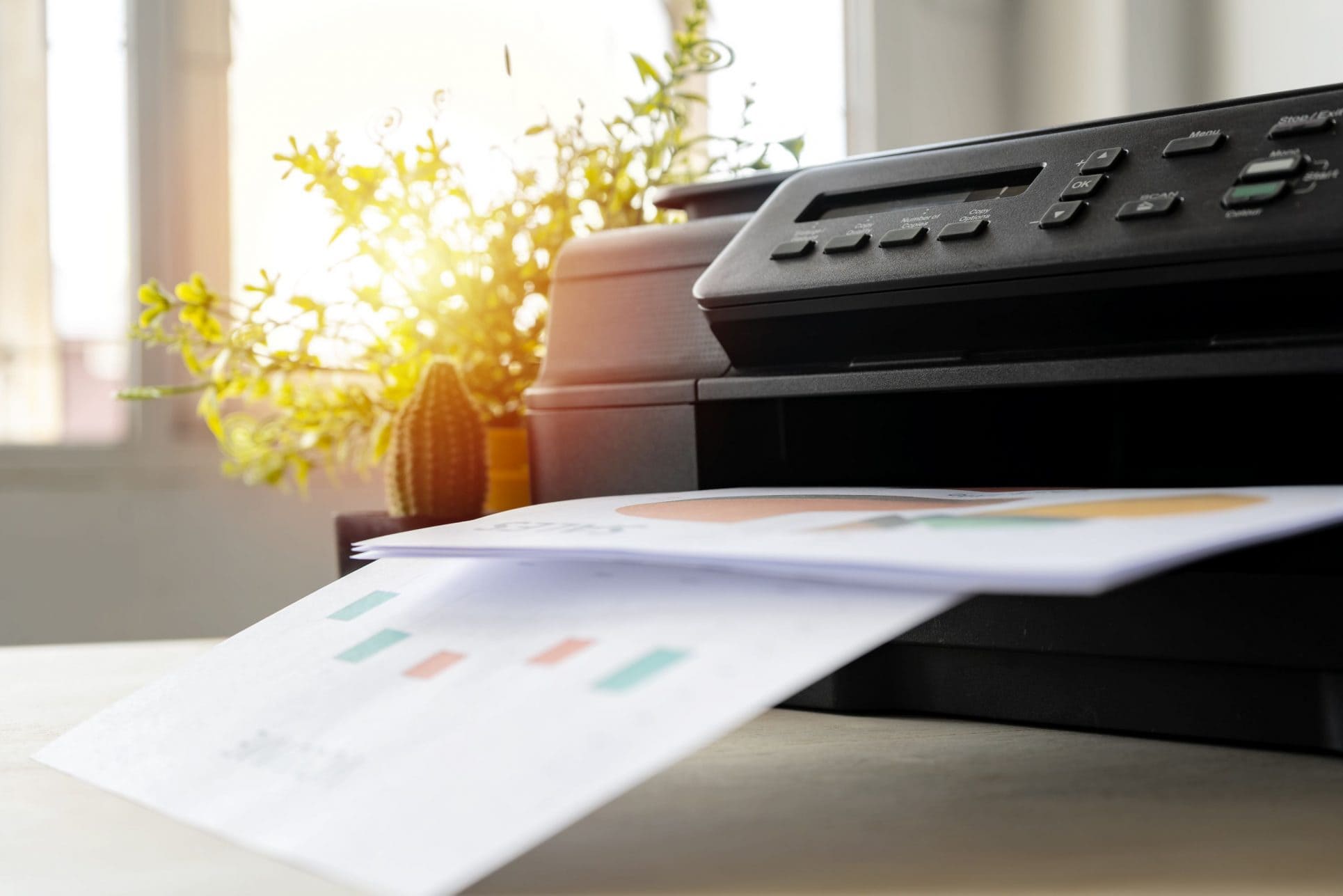 Document Print